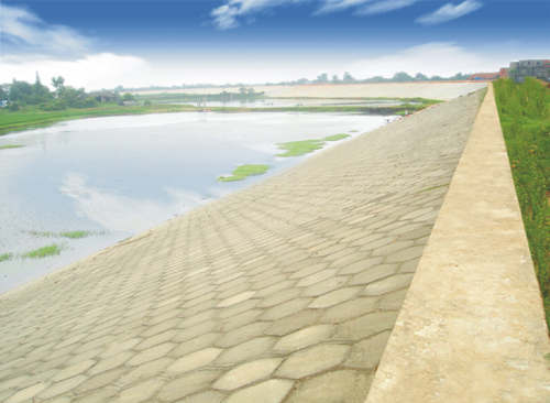 混凝土預(yù)制塊護坡（藥豐聯(lián)圩2標）