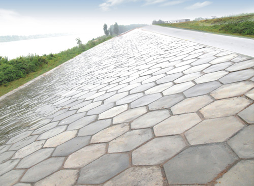 混凝土預(yù)制塊護坡（鎮(zhèn)橋聯(lián)圩4標）